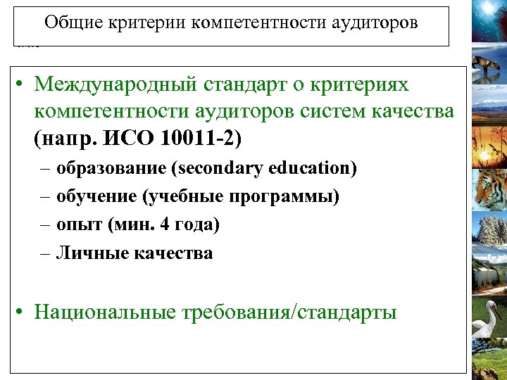 Общие критерии компетентности аудиторов • Международный стандарт о критериях компетентности аудиторов систем качества (напр.