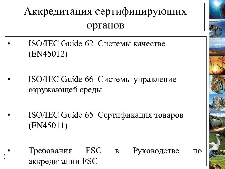 Аккредитация сертифицирующих органов • ISO/IEC Guide 62 Системы качестве (EN 45012) • ISO/IEC Guide