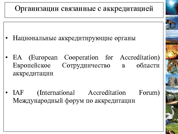 Организации связанные с аккредитацией • Национальные аккредитирующие органы • EA (European Cooperation for Accreditation)