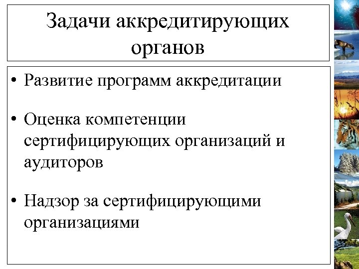 Задачи аккредитирующих органов • Развитие программ аккредитации • Оценка компетенции сертифицирующих организаций и аудиторов