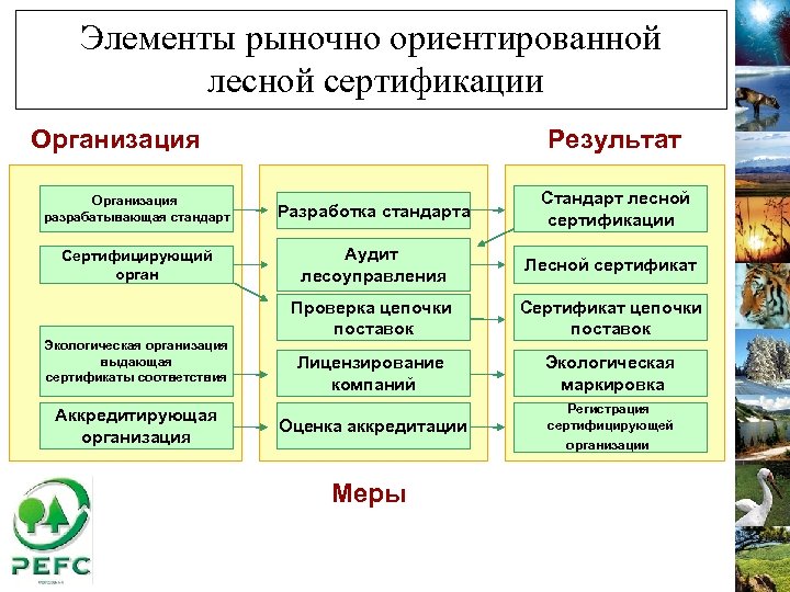 Элементы рыночно ориентированной лесной сертификации Организация Результат Организация разрабатывающая стандарт Разработка стандарта Стандарт лесной