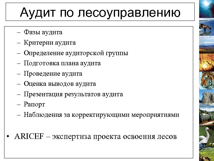 Аудит по лесоуправлению – – – – – Фазы аудита Критерии аудита Определение аудиторской