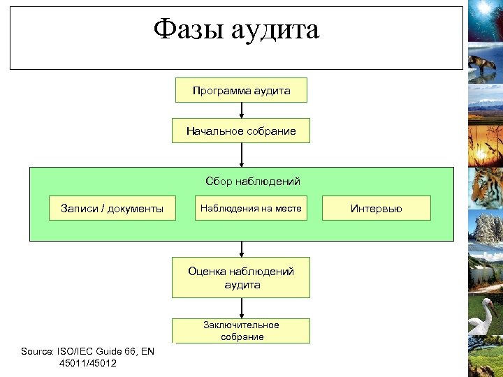 Фазы аудита Программа аудита Начальное собрание Сбор наблюдений Записи / документы Наблюдения на месте