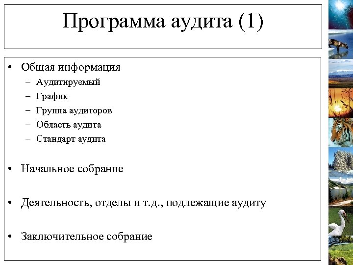 Программа аудита (1) • Общая информация – – – Аудитируемый График Группа аудиторов Область