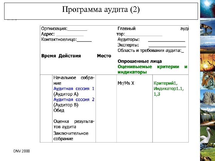 Программа аудита (2) DNV 2000 