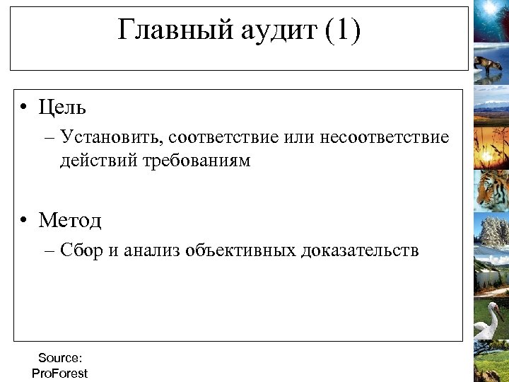 Главный аудит (1) • Цель – Установить, соответствие или несоответствие действий требованиям • Метод