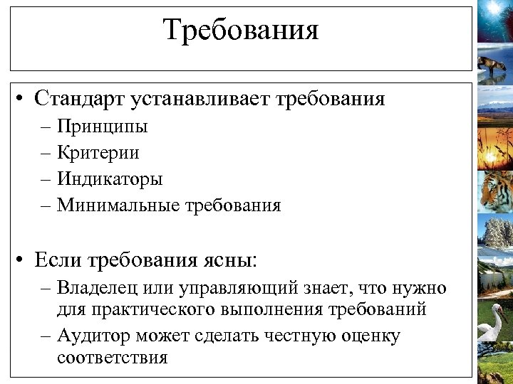 Требования • Стандарт устанавливает требования – Принципы – Критерии – Индикаторы – Минимальные требования