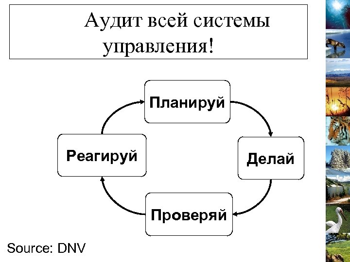 Аудит всей системы управления! Планируй Реагируй Делай Проверяй Source: DNV 