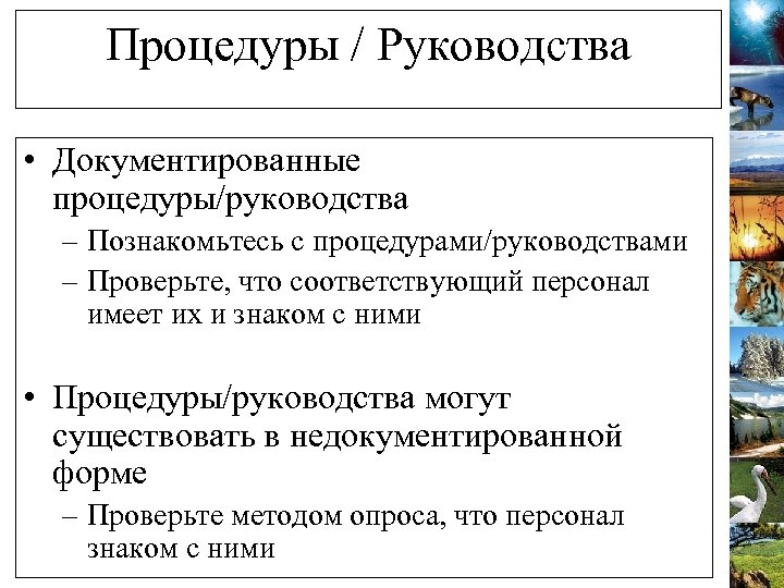 Процедуры / Руководства • Документированные процедуры/руководства – Познакомьтесь с процедурами/руководствами – Проверьте, что соответствующий