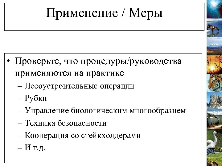 Применение / Меры • Проверьте, что процедуры/руководства применяются на практике – Лесоустроительные операции –