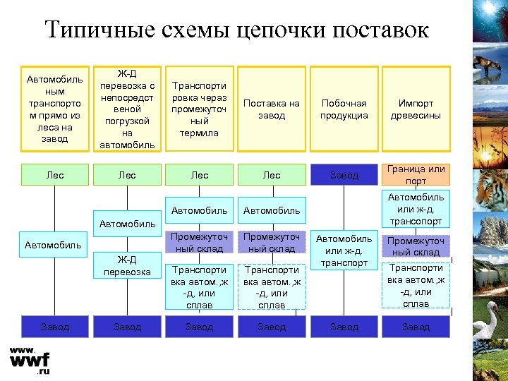 Типичные схемы цепочки поставок Автомобиль ным транспорто м прямо из леса на завод Ж-Д