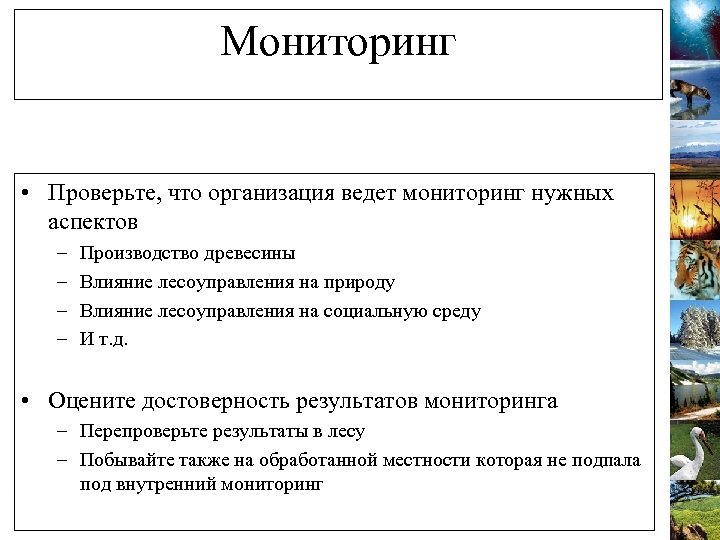 Мониторинг • Проверьте, что организация ведет мониторинг нужных аспектов – – Производство древесины Влияние