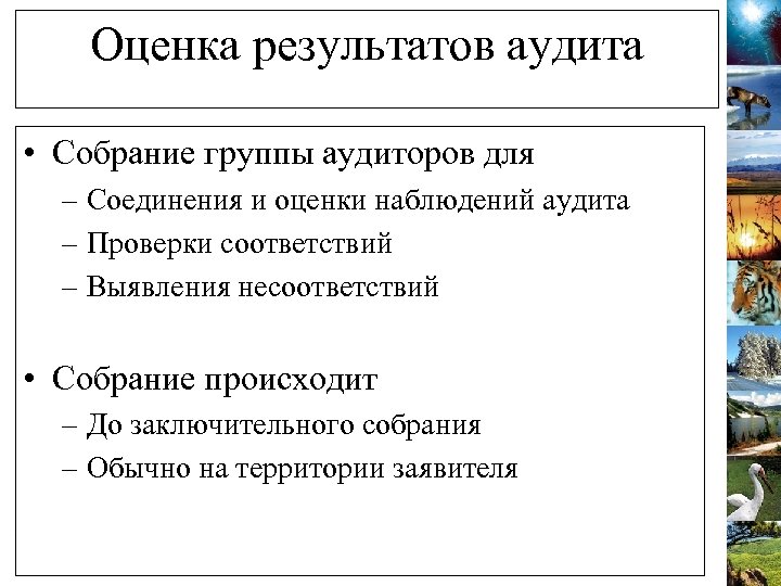 Оценка результатов аудита • Собрание группы аудиторов для – Соединения и оценки наблюдений аудита