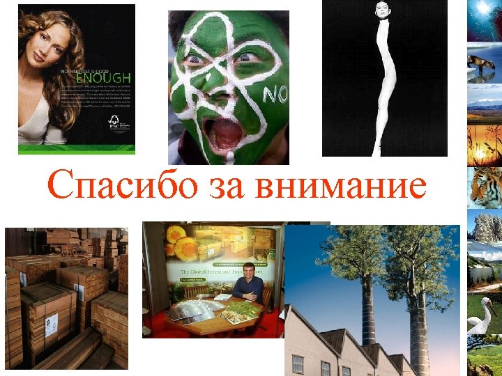 Спасибо за внимание 