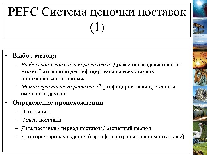 PEFC Система цепочки поставок (1) • Выбор метода – Раздельное хранение и переработка: Древесина