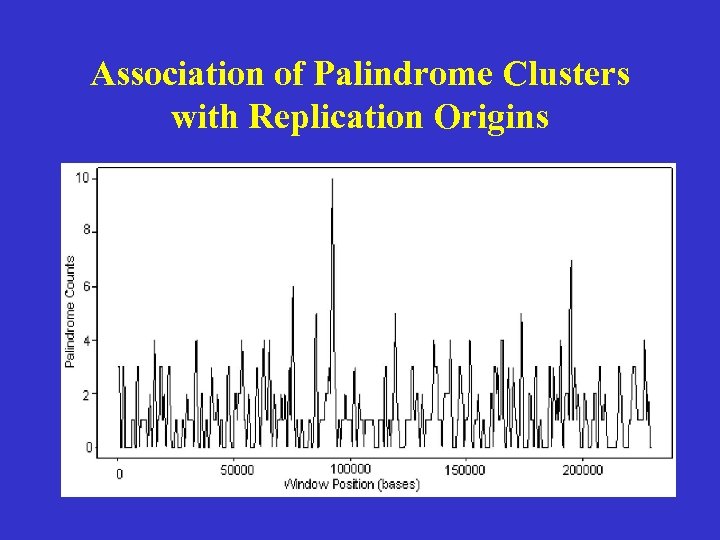 Association of Palindrome Clusters with Replication Origins 