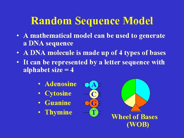 Random Sequence Model • A mathematical model can be used to generate a DNA