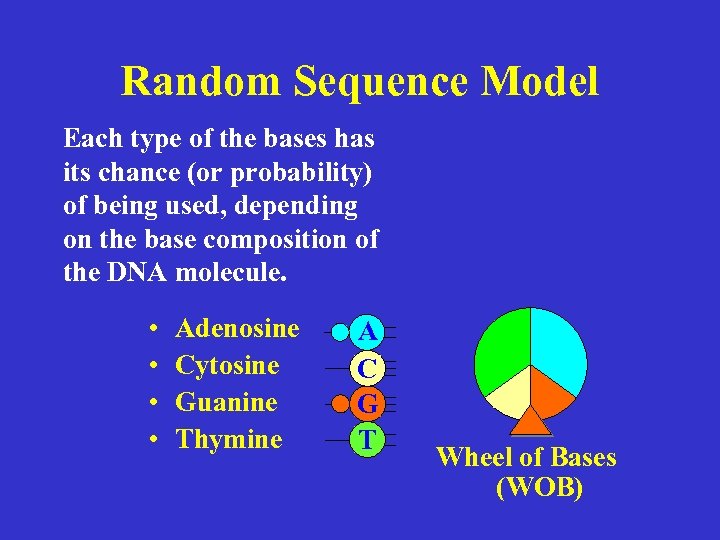 Random Sequence Model Each type of the bases has its chance (or probability) of