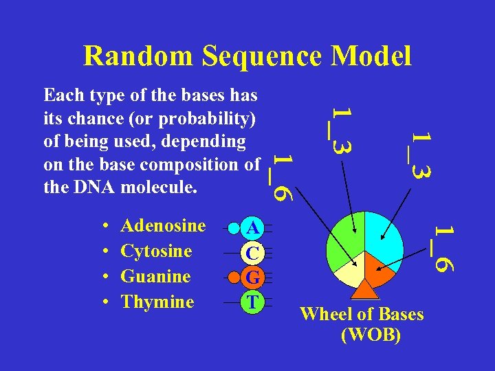 Random Sequence Model Each type of the bases has its chance (or probability) of