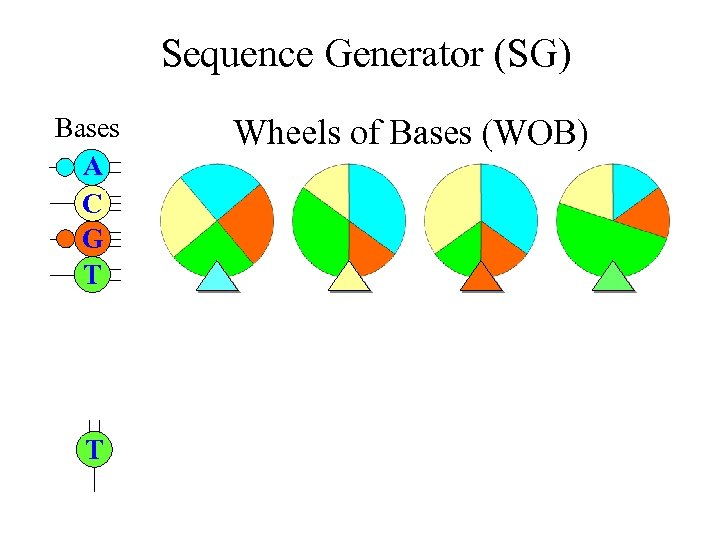 Sequence Generator (SG) Bases A C G T T Wheels of Bases (WOB) 