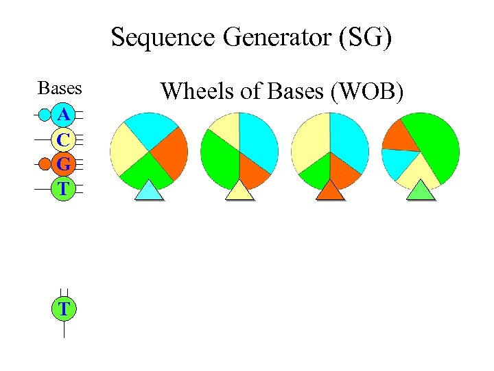 Sequence Generator (SG) Bases A C G T T Wheels of Bases (WOB) 