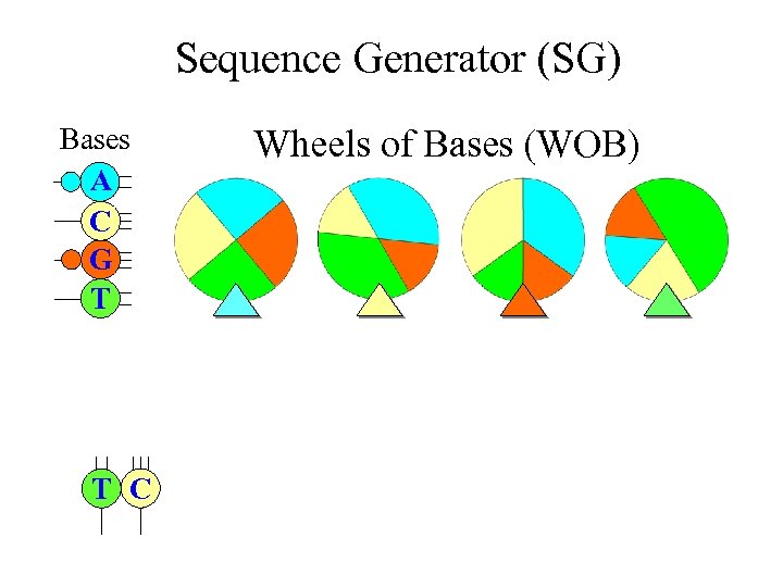 Sequence Generator (SG) Bases A C G T T C Wheels of Bases (WOB)