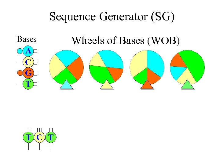 Sequence Generator (SG) Bases A C G T T C T Wheels of Bases