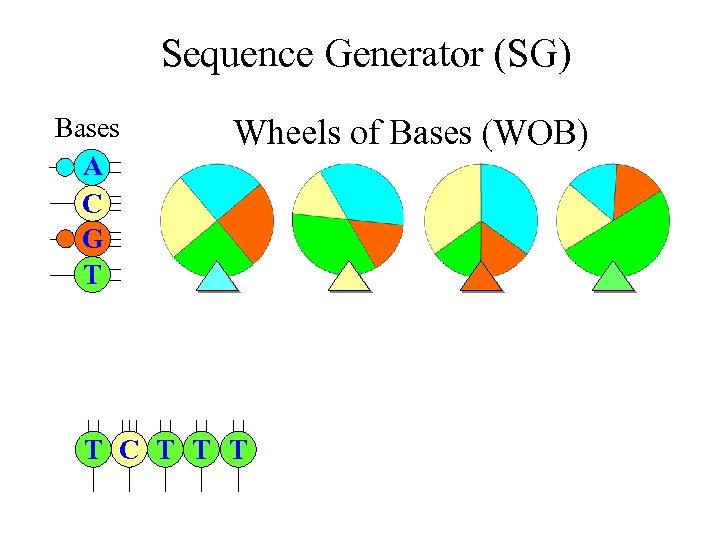 Sequence Generator (SG) Bases A C G T Wheels of Bases (WOB) T C