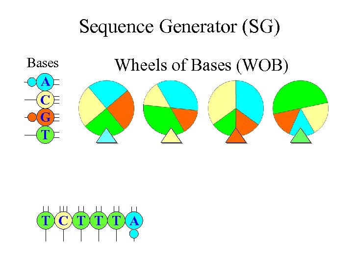 Sequence Generator (SG) Bases A C G T Wheels of Bases (WOB) T C