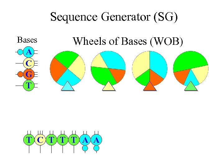 Sequence Generator (SG) Bases A C G T Wheels of Bases (WOB) T C