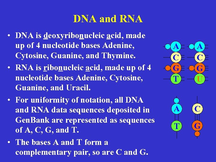 DNA and RNA • DNA is deoxyribonucleic acid, made up of 4 nucleotide bases