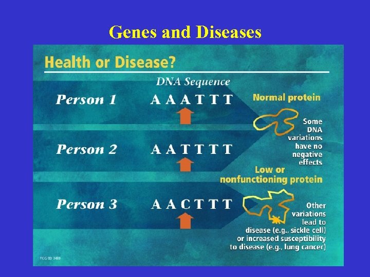 Genes and Diseases 