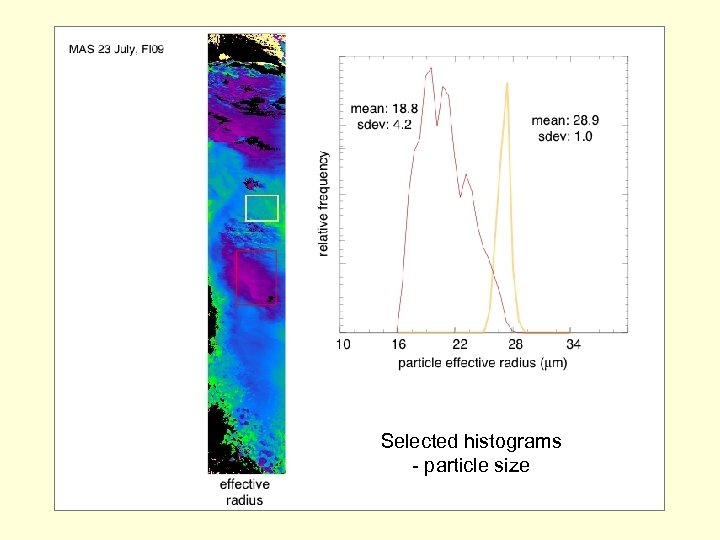 Selected histograms - particle size 