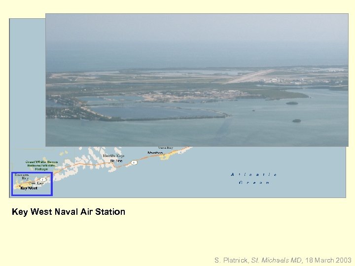 Key West Naval Air Station S. Platnick, St. Michaels MD, 18 March 2003 