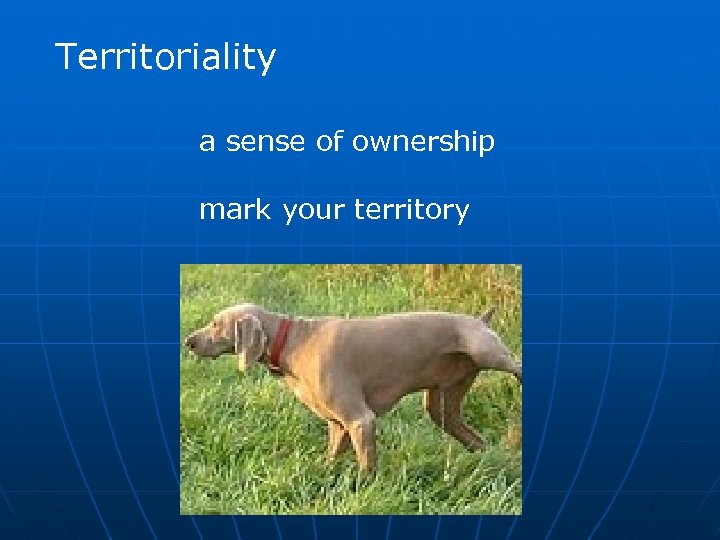 Territoriality a sense of ownership mark your territory 