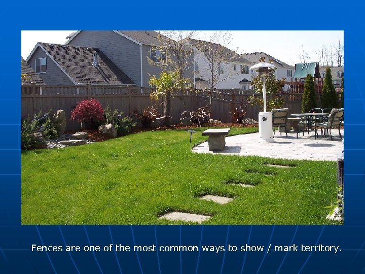 Fences are one of the most common ways to show / mark territory. 