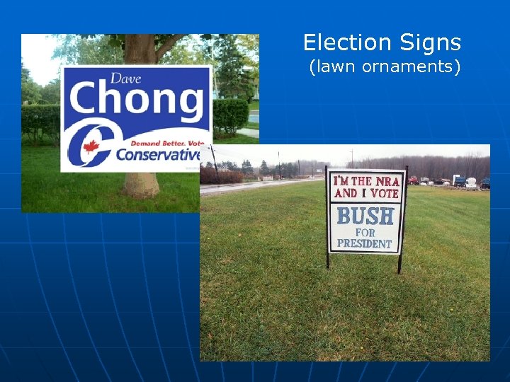 Election Signs (lawn ornaments) 