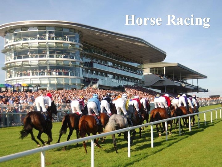Horse Racing 
