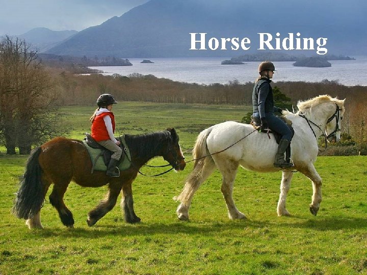 Horse Riding 