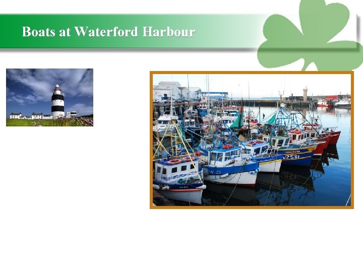 Boats at Waterford Harbour 