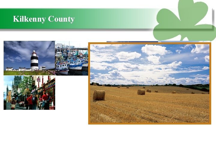 Kilkenny County 