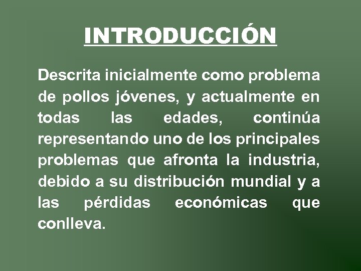 INTRODUCCIÓN Descrita inicialmente como problema de pollos jóvenes, y actualmente en todas las edades,