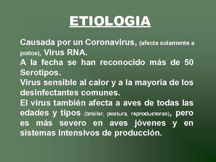 ETIOLOGIA Causada por un Coronavirus, (afecta solamente a pollos), Virus RNA. A la fecha