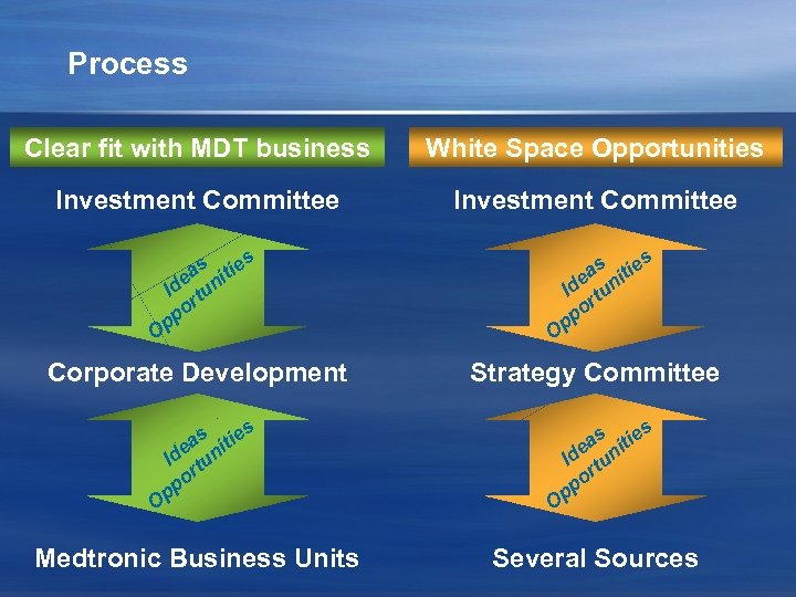 Process Clear fit with MDT business White Space Opportunities Investment Committee s s s