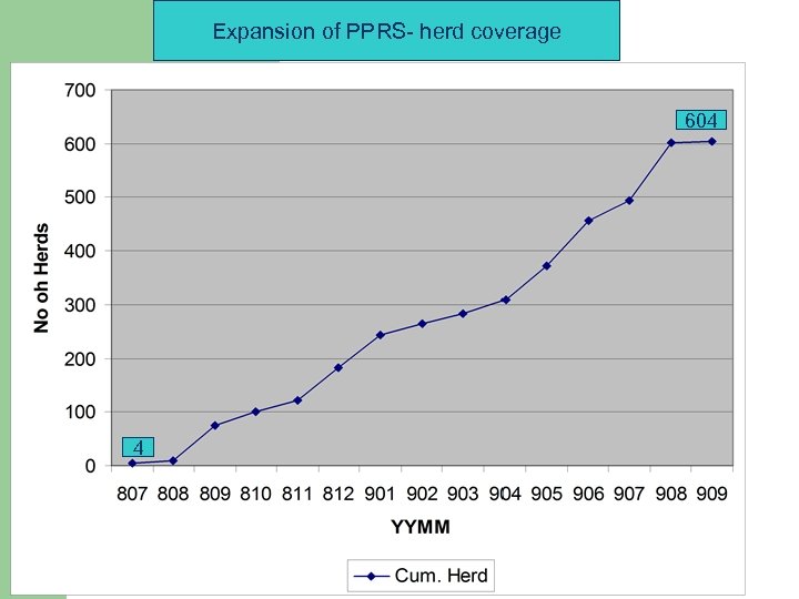 Expansion of PPRS- herd coverage 604 4 