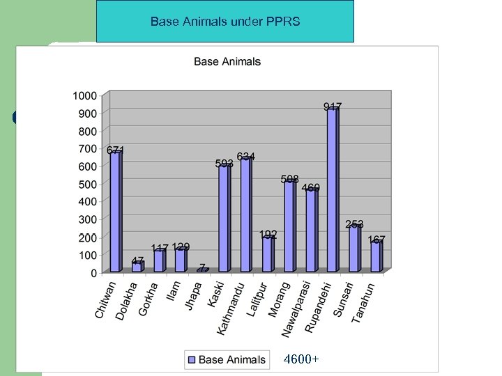 Base Animals under PPRS 4600+ 