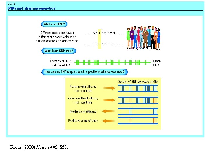 Roses (2000) Nature 405, 857. 