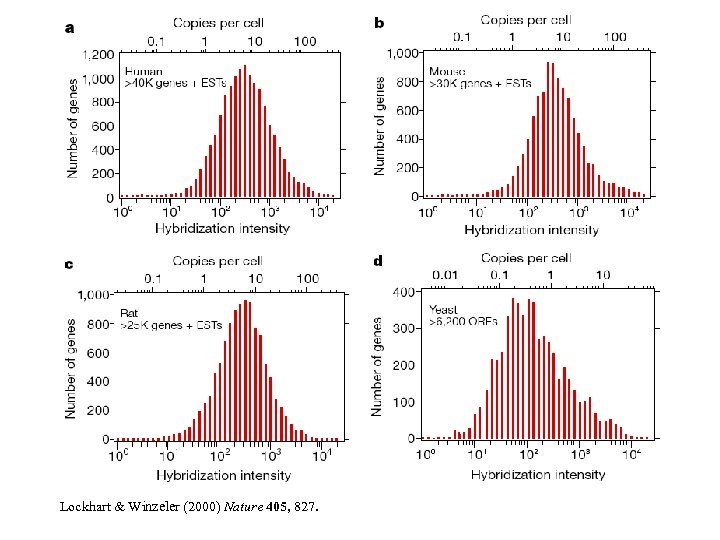Lockhart & Winzeler (2000) Nature 405, 827. 