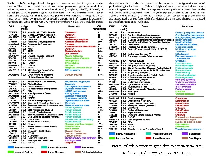 Note: caloric restriction gene chip experiment w/ rats. Ref: Lee et al (1999) Science