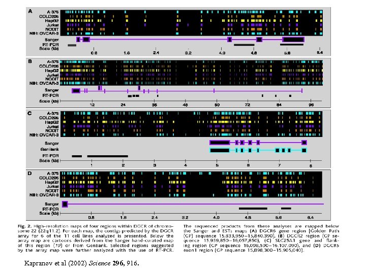 Kapranov et al (2002) Science 296, 916. 
